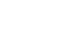 Media Vivantis