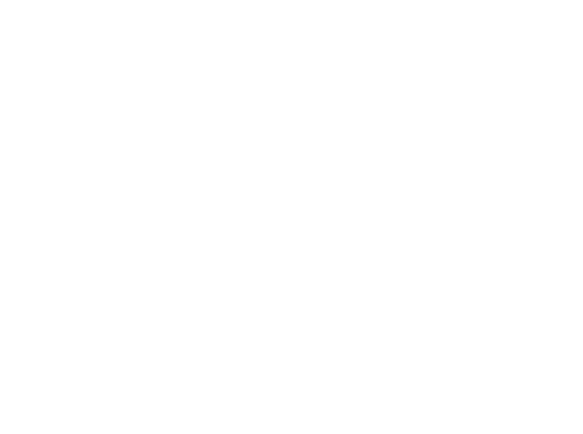 Ikon